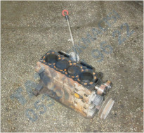 Plants: image 1 0f 20 thumb