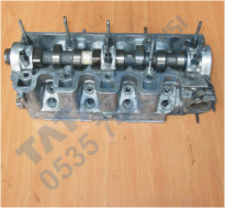 Plants: image 1 0f 20 thumb