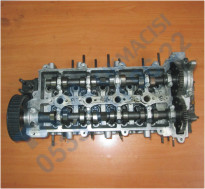 Plants: image 1 0f 20 thumb