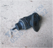 Plants: image 1 0f 20 thumb