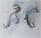 Plants: image 1 0f 20 thumb